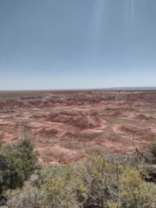 Image from northern NM road trip 2024