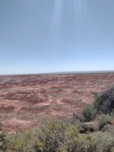 Image from northern NM road trip 2024