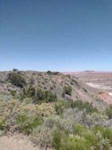 Image from northern NM road trip 2024