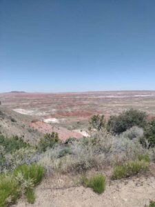 Image from northern NM road trip 2024