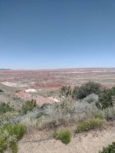 Image from northern NM road trip 2024