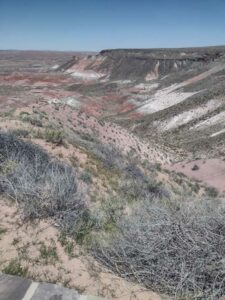 Image from northern NM road trip 2024