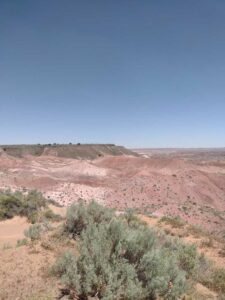 Image from northern NM road trip 2024