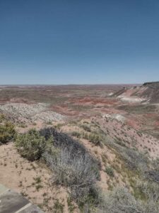 Image from northern NM road trip 2024