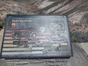 Image from northern NM road trip 2024