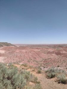 Image from northern NM road trip 2024