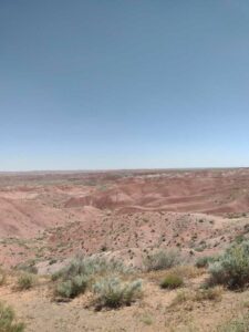 Image from northern NM road trip 2024