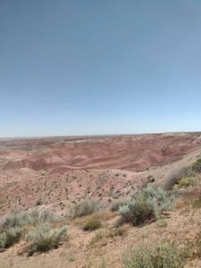 Image from northern NM road trip 2024