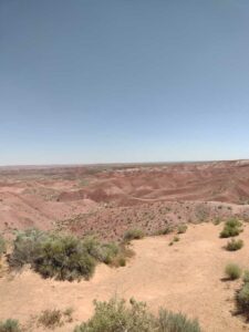 Image from northern NM road trip 2024