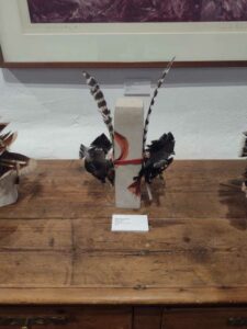 Image from northern NM road trip 2024