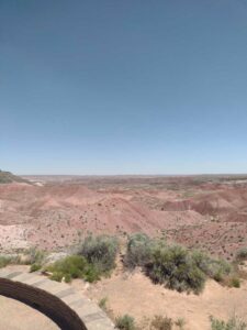 Image from northern NM road trip 2024