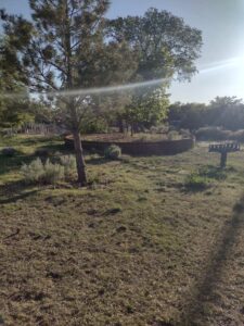 Image from northern NM road trip 2024