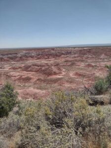 Image from northern NM road trip 2024