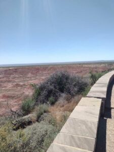 Image from northern NM road trip 2024