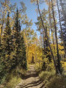 Image from Park City/SLC area of Utah, Sept 2024