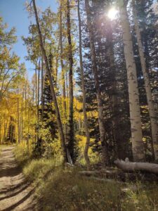 Image from Park City/SLC area of Utah, Sept 2024