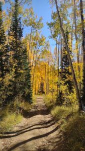 Image from Park City/SLC area of Utah, Sept 2024