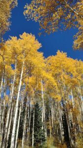 Image from Park City/SLC area of Utah, Sept 2024