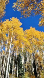 Image from Park City/SLC area of Utah, Sept 2024
