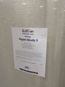 QuiltConPHX-120 image from Quiltcon 2025 in Phoenix AZ