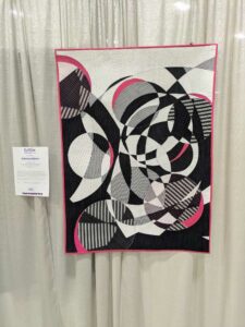 QuiltConPHX-125 image from Quiltcon 2025 in Phoenix AZ