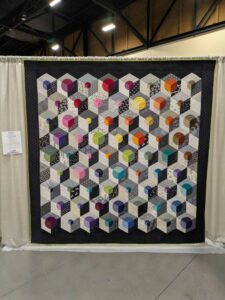 QuiltConPHX-163 image from Quiltcon 2025 in Phoenix AZ