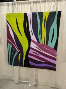 QuiltConPHX-45 image from Quiltcon 2025 in Phoenix AZ