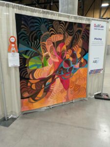 QuiltConPHX-72 image from Quiltcon 2025 in Phoenix AZ