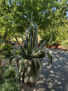 images from the Red Butte Garden & Arboretum in SLC