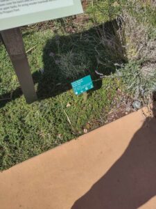 images from the Red Butte Garden & Arboretum in SLC