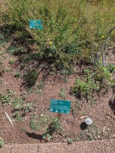 images from the Red Butte Garden & Arboretum in SLC