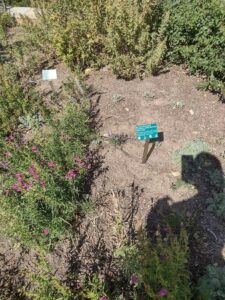 images from the Red Butte Garden & Arboretum in SLC