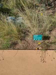images from the Red Butte Garden & Arboretum in SLC
