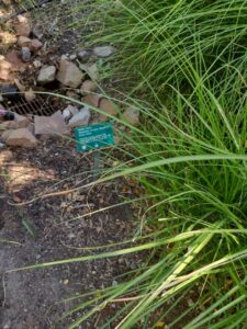 images from the Red Butte Garden & Arboretum in SLC
