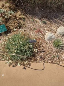 images from the Red Butte Garden & Arboretum in SLC