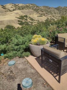 images from the Red Butte Garden & Arboretum in SLC