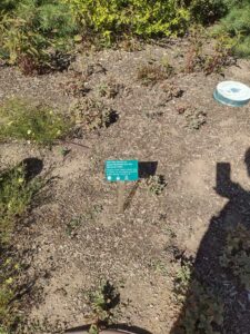 images from the Red Butte Garden & Arboretum in SLC