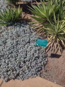 images from the Red Butte Garden & Arboretum in SLC