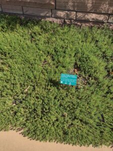 images from the Red Butte Garden & Arboretum in SLC