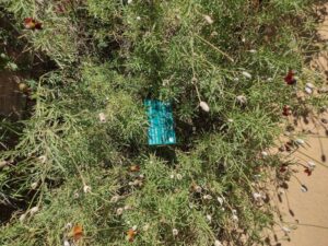 images from the Red Butte Garden & Arboretum in SLC