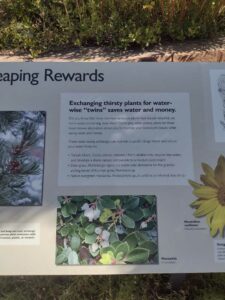 images from the Red Butte Garden & Arboretum in SLC