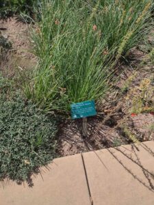 images from the Red Butte Garden & Arboretum in SLC