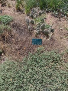 images from the Red Butte Garden & Arboretum in SLC