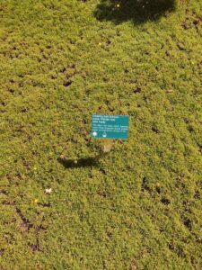 images from the Red Butte Garden & Arboretum in SLC