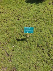 images from the Red Butte Garden & Arboretum in SLC