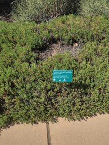 images from the Red Butte Garden & Arboretum in SLC