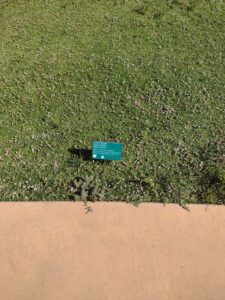 images from the Red Butte Garden & Arboretum in SLC