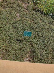 images from the Red Butte Garden & Arboretum in SLC