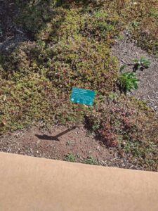 images from the Red Butte Garden & Arboretum in SLC