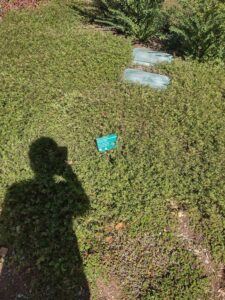 images from the Red Butte Garden & Arboretum in SLC